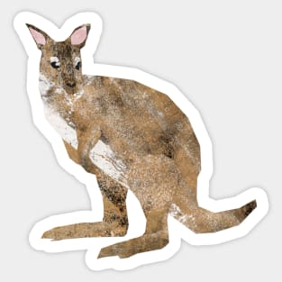 Wallaby Sticker